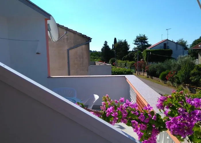 Nimcevic Biograd Na Moru